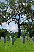 Grave Sites at Florida National Cemetery