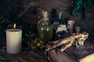 A witchery stuff: multiple tincture bottles, bunches of dry healthy herbs, stack of ancient ritual books, amulets, candles...