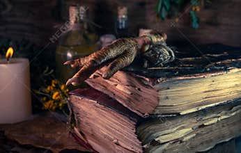 A witchery stuff: multiple tincture bottles, bunches of dry healthy herbs, stack of ancient ritual books, amulets, candles...