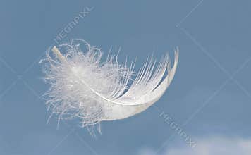 Light as a feather