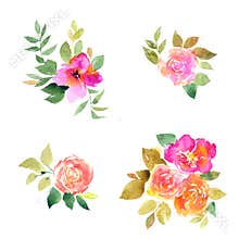 Pink roses. Watercolor flowers set for greeting card decor. Drawing roses. Wedding invitation floral design.