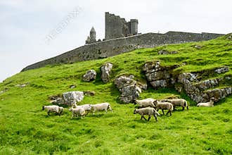 The Rock of Cashel, County Tipperary in Ireland