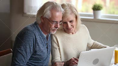 Happy old couple using laptop talking together doing online shopping