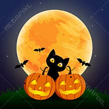 Happy Halloween Day , Bat and spider , Cute pumpkin smile spooky scary but cute and black cat party under moon