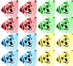Colorful Pop Art Dog