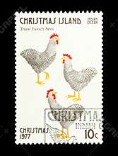 Three french hens
