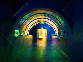 Tunnel in aquarium