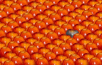 Good apples, bad apple