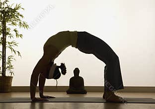 Yoga Highlights
