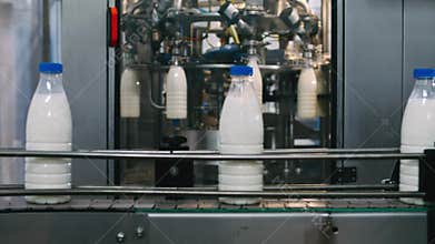Conveyor line for pouring dairy products into plastic bottles at a milk factory in full-HD resolution in slowmotion. A