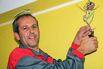 Portrait of Smiling Electrician
