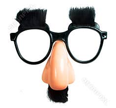 The Perfect Disguise