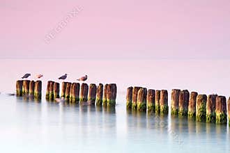 Calmness at seaside.