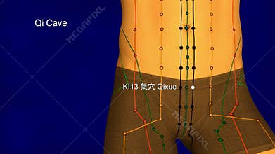 Kidney Meridian, video, 3D Illustration