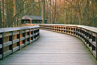 Boardwalk2