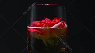 Glass of champagne throw a rosebud. Black background. Close up