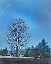 Winter at Amish farm