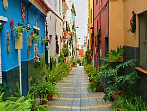 Neighbors decorate an alley and the houses from the outside at Christmas