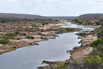 River Olifants with animal,Kruger NP,South Africa