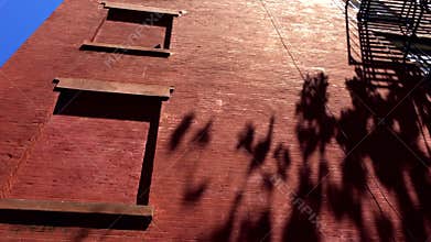 Shadows of Summer Tree on Red Brick Wall