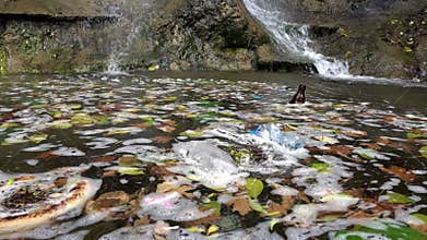 Garbage pollution waste on dirty lake water