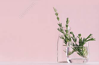 Modern soft light pink pastel home interior with green plant in transparent vintage glass on white wood background.