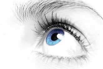 Females blue eye close up