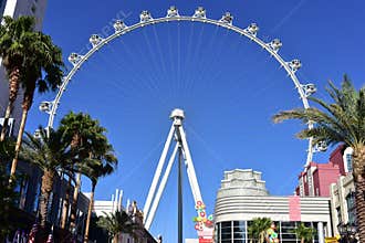 Geometric Shape - Highroller