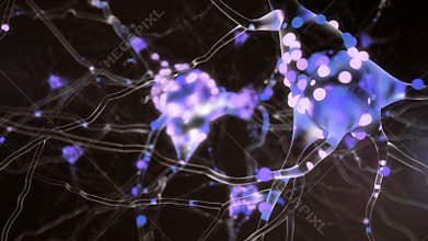 4K neuronal activity.