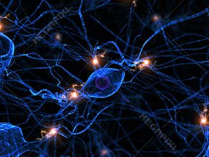 Active nerve cell