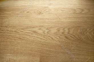 Image of wood texture. Wooden background pattern.