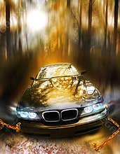 Rural drive