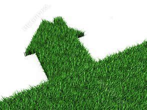 Eco house