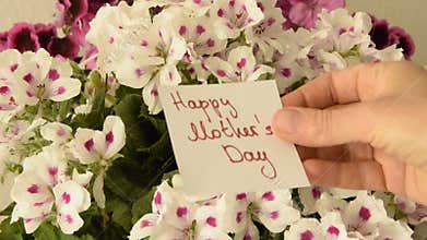 Woman`s hand taking a greeting card for Mother`s day by beautiful bouquet flowers
