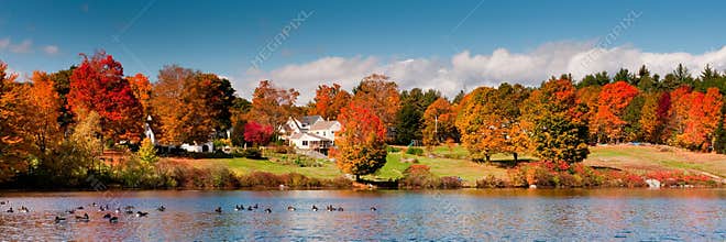 Autumn Colors