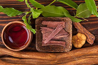Ayahuasca brew in bowl.