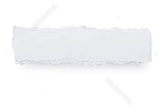 Torn Paper Banner