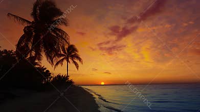 Mayan Riviera palm trees beach sunrise in Caribbean Mexico