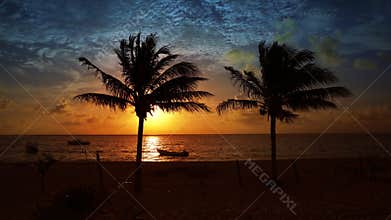 Mayan Riviera palm trees beach sunrise Caribbean