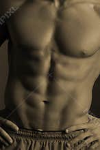 Sepia abs