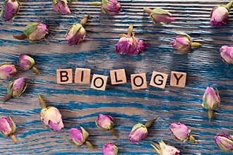 Biology on wooden cube