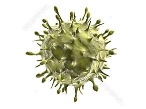 H1n1 virus