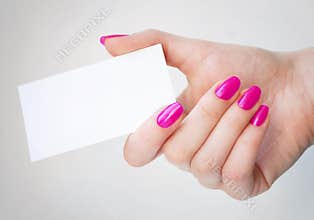 Blank Business Card