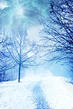 Mystical magic winter landscape with snow and path