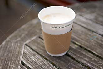 Biodegradable Disposable Cup