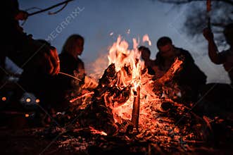 Young and cheerful friends sitting and fry marshmallows near bonfire at night
