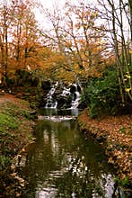 Virginia Water Cascade