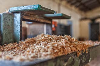 Sawdust resulting from the cutting of wood.