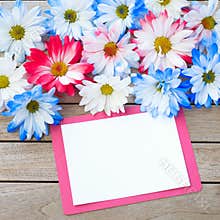 Daisy Flowers in Red White and Blue Colors with Party Invitation Card Laying on Rustic Board Table with room or space for your wor