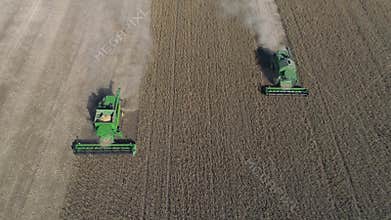 Soybean field, aerial view on green combines working on the large agricultural territory during of harvest